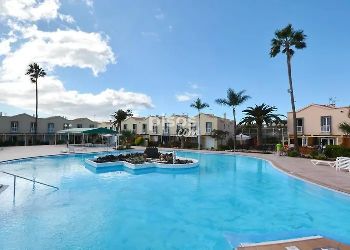 Oasis Maspalomas (Gran Canaria)